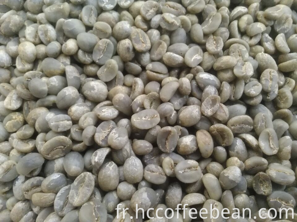 Grains de café vert chinois, origine yunnan, tamis 17-18, grade AA, type arabica